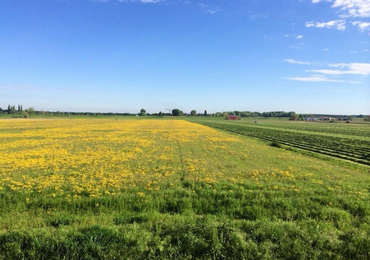 B&B Antica Cascina Boretto Bagian luar foto